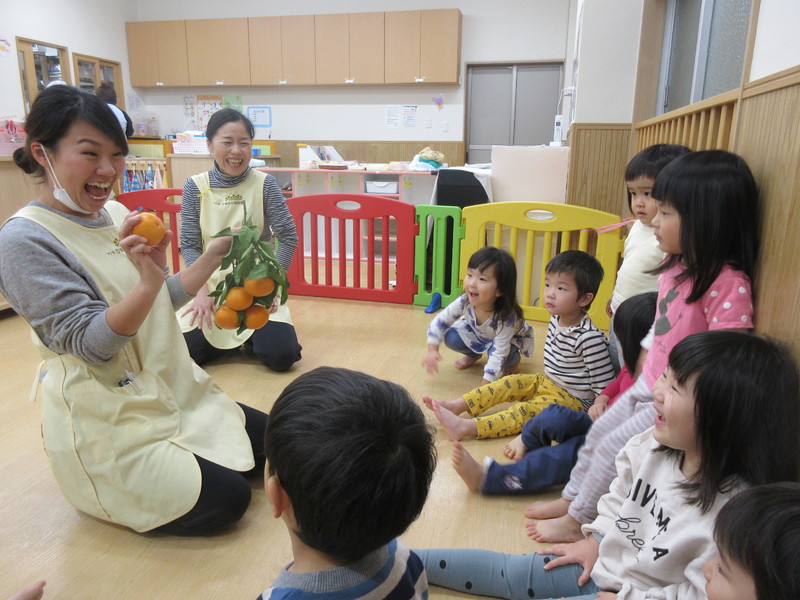 葉付きのみかんでみかん狩り🍊