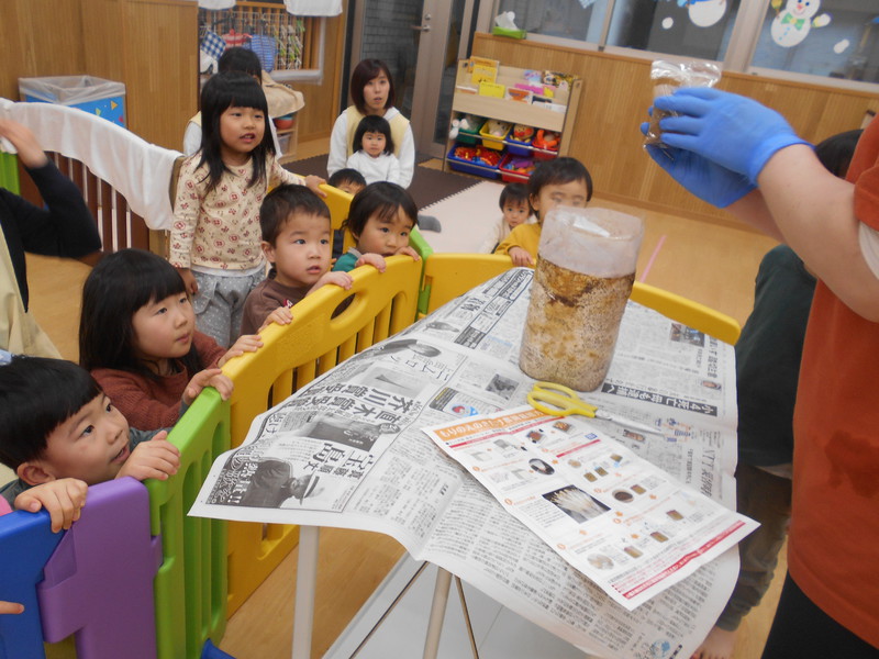  えのき栽培をはじめるよ🍄