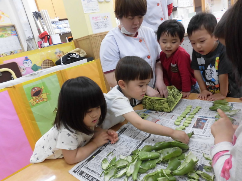  ぱんだ組さんはそら豆の皮むきをしました♪