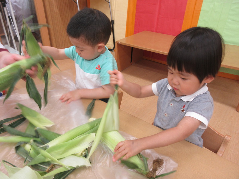  ひげもひっぱって取ったよ🌽