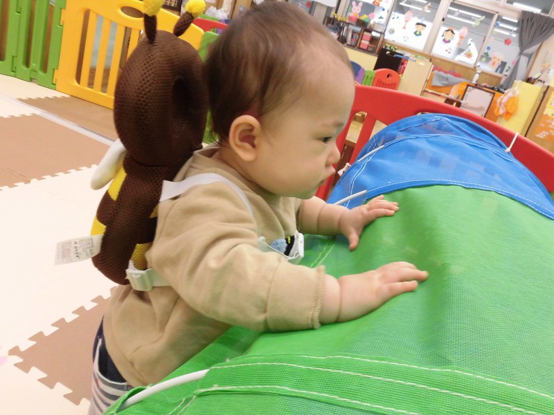  興味津々…👀✨