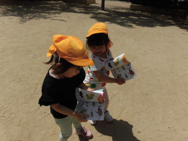  図鑑をもって探検だ👒