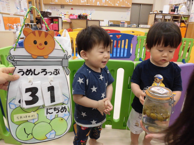  梅シロップ1か月たちました🍹