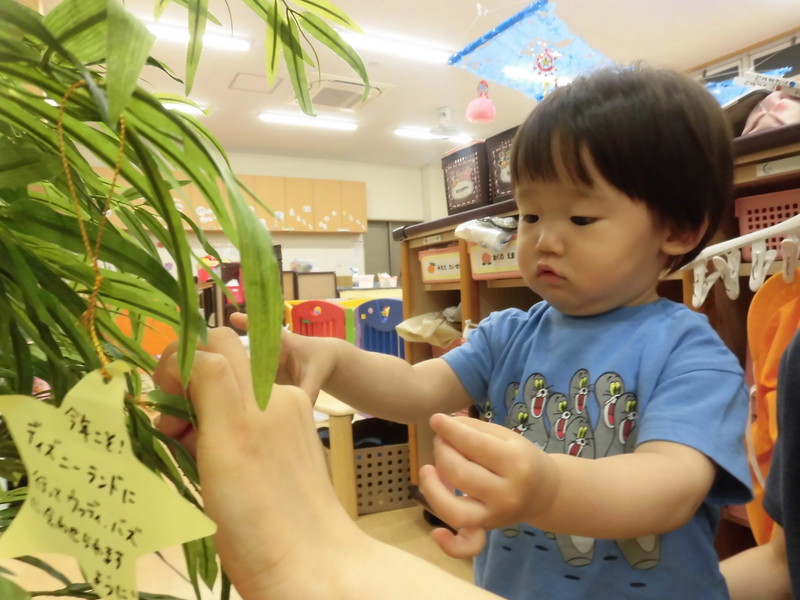  願い事叶いますように🌟